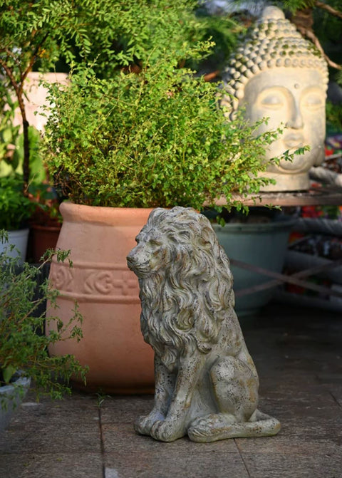 Statua di leone per esterni 53 cm