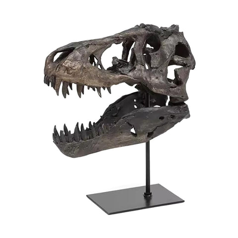 Statua di teschio di dinosauro tirannosauro 11 cm