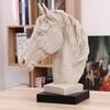 Scultura di cavallo<br> Torace