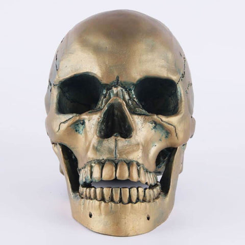 Statua del teschio<br> Teschio in bronzo 15 cm