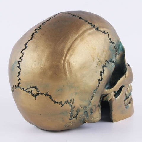 Statua del teschio<br> Teschio in bronzo 15 cm