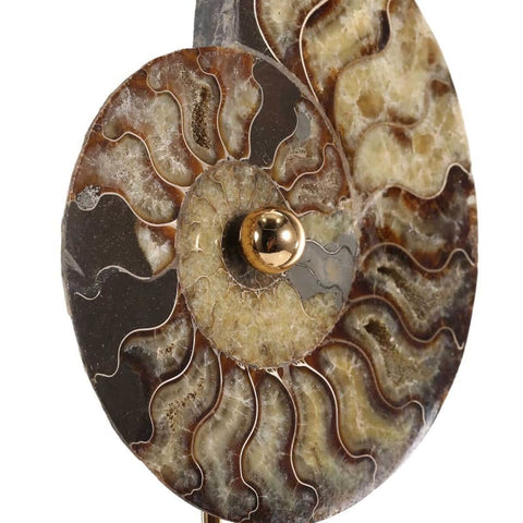 Sculpture Decoration Interieure