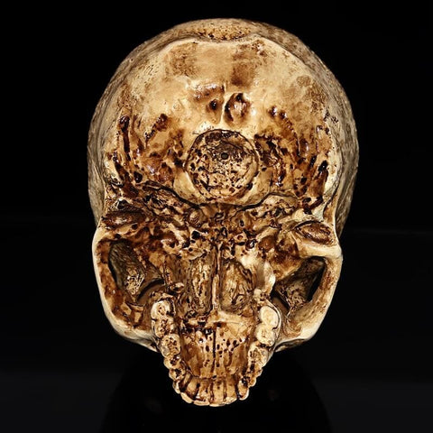 Statua del teschio<br> Teschio Antico 15 cm