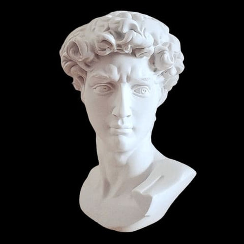 Statua del David<br> Michelangelo