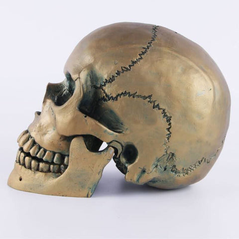 Statua del teschio<br> Teschio in bronzo 15 cm