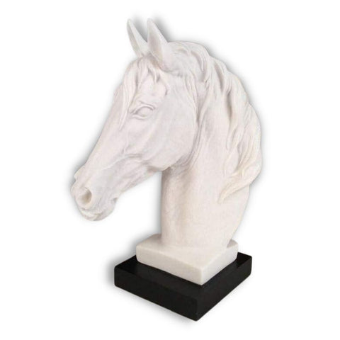 Scultura di cavallo<br> Torace