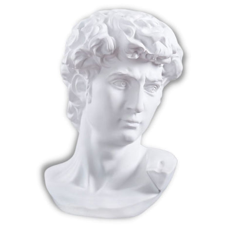 Statua del David<br> Michelangelo