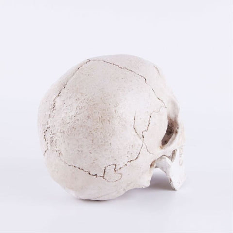 Statua del teschio<br> Decorazione 14 cm