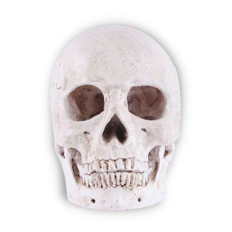 Scultura Moderna a Forma di Teschio in Ceramica Made in Italy